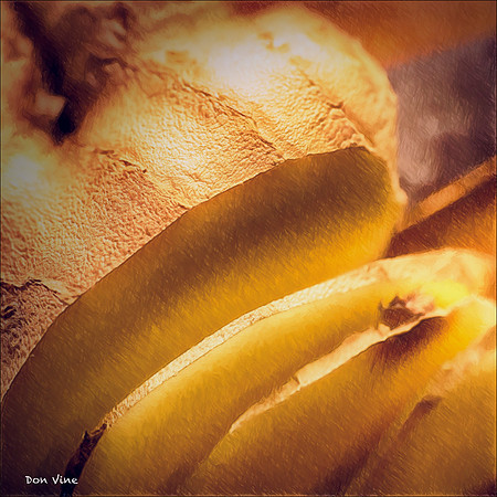 Ginger Slices_151017_090455_24-HXSEQ