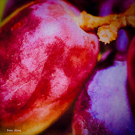 Another Grape or Two_150528_124626_22-HXSYQ