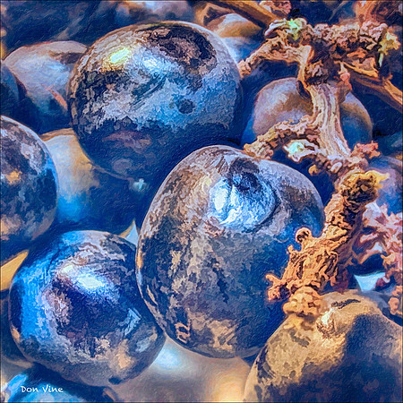 Grapes of Black_140530_1323_81__18-HXSCYQ