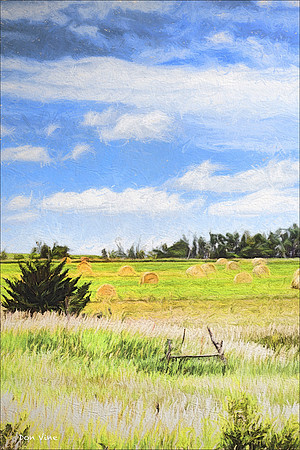 Hay Bales_080628_0137__12-XSYV