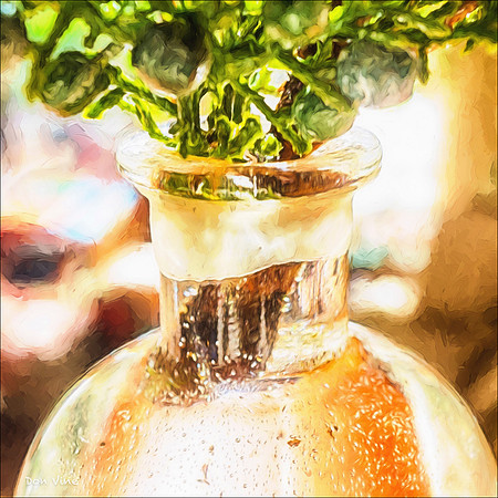 Juniper Sprig_150518_101326_08-HXSYQ