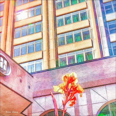 Hilton Iris_140907_09068-HXSYQ