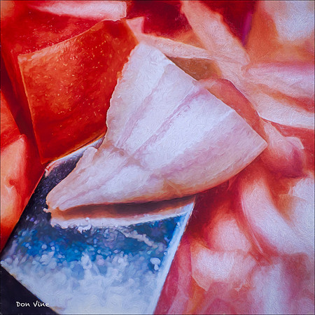 Chopped Onion and Tomato_150616_170333_99-HXSYQ