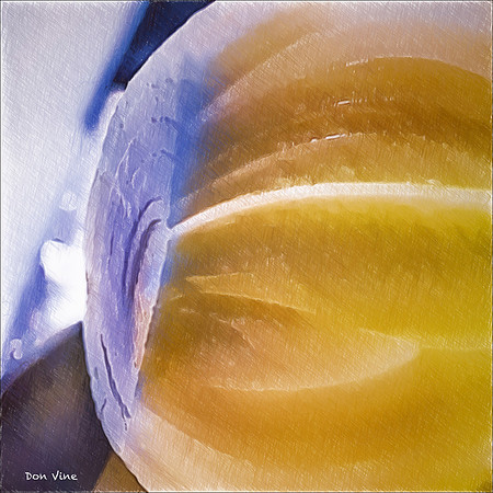 End of an Onion_150515_160845_07-HXSEQ