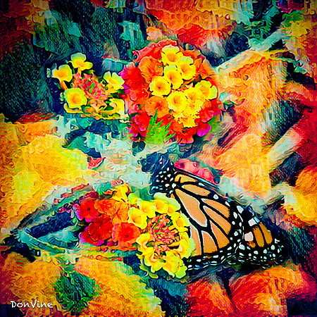 Monarch in the Lantana_(Wichita - Kansas)_030822_134003_2014-XSIQ-Edit-Edit-Edit