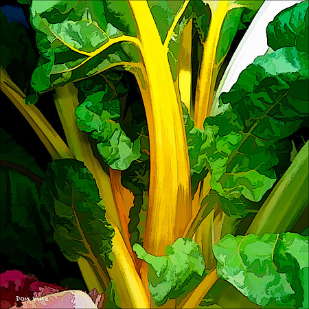 Bright Swiss Chard_110604_433__2-HXSYQ