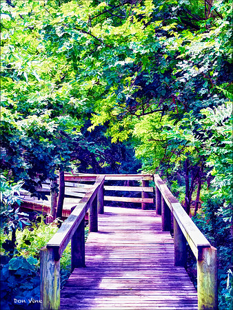 Chisholm Creek Boardwalk_090702__190__6-HXSYV