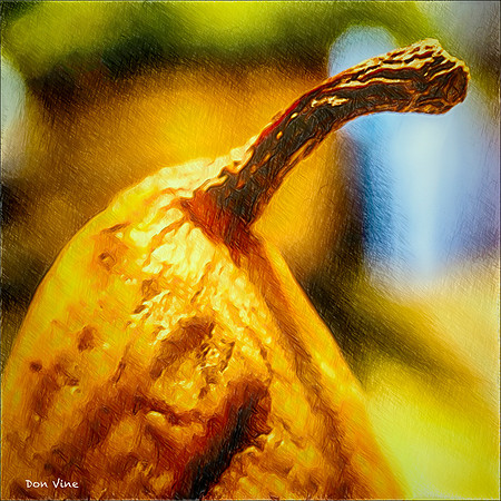 An Old Pear_150517_094329_12-HXSEQ