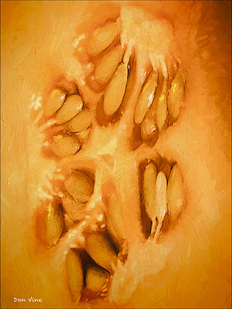 Cantaloupe Seeds_150817_153225_40__08-HXSYV