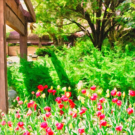 Botanica Tulips_100425__081__4-HXSYQ