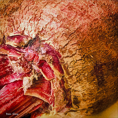 Bottom of a Beet_150817_152741_31__06-HXSYQ