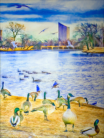 Riverside Park_060103_000014-XSYV