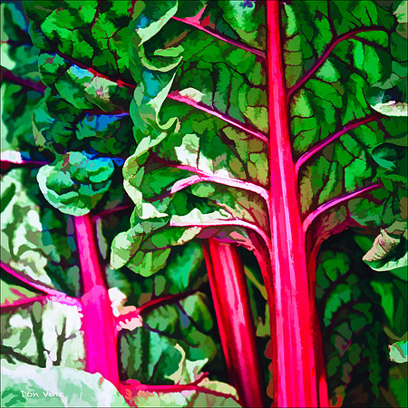 Chard Forest_110604_326__2-HXSQ