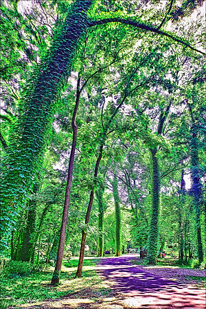 Ivy-covered Treeway_110629_016-HXSY2V