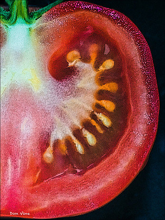 Tomato Half Slice_120722_10015-XSYV