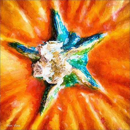 Pumpkin Star_140910_15019-HXSYQ