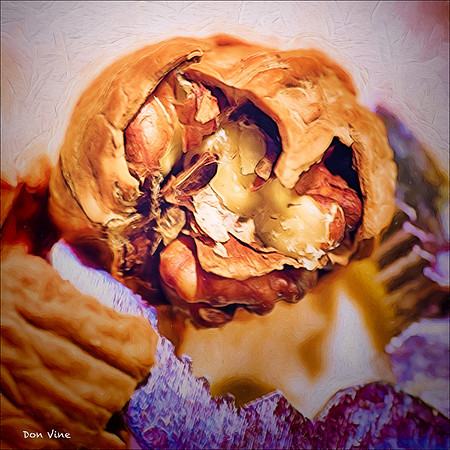 Nut Cracker_150519_174455_31-HXSYQ