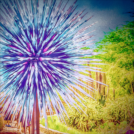 Glass Thistle_140427_15_107-HXSYQ