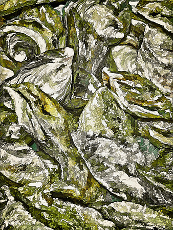 Fresh Oysters_101229_13088__5-XSYV