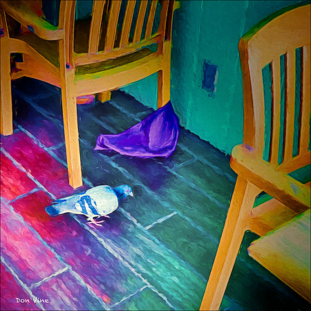Pecking Up Crumbs_140429_11_040-PHXSYQ