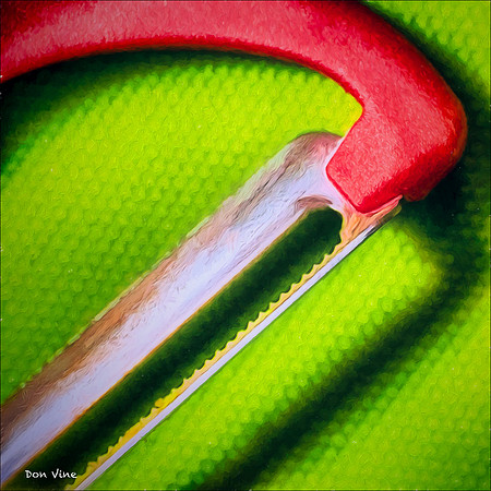 Veggie Skinner_150620_113733_33-HXSYQ