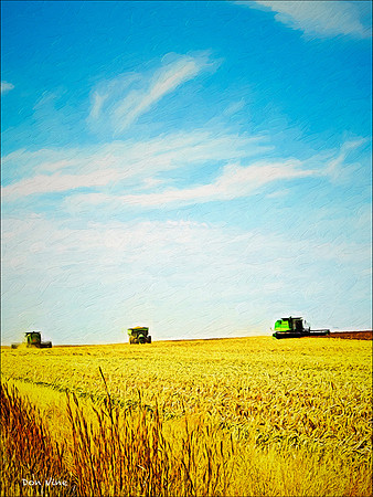 Harvest_101002_14128__3-XSYV