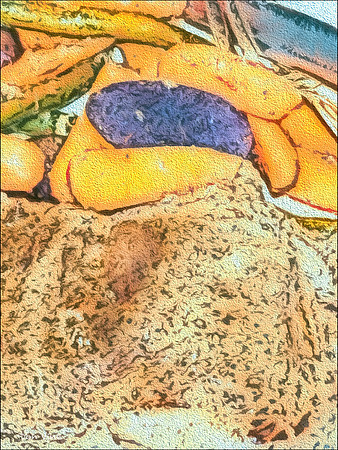 Ode to Supper_150126_1940_3188-PXSYV