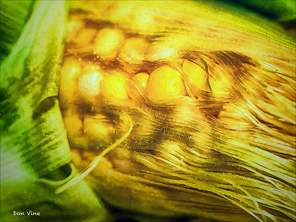 Kernels and Silk_150524_165224_54__02-HXSYA
