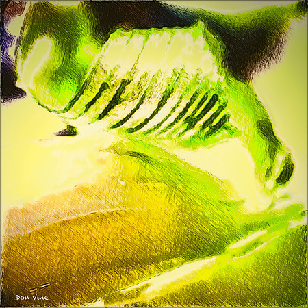 Allium Spiral_150515_160726_25-HXSEQ
